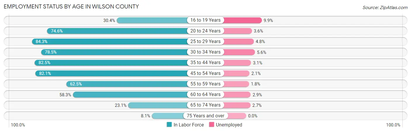 Employment Status by Age in Wilson County