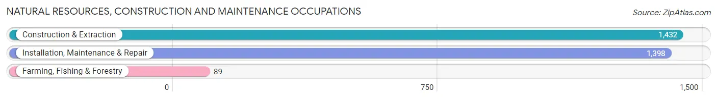 Natural Resources, Construction and Maintenance Occupations in Wilson County