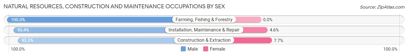 Natural Resources, Construction and Maintenance Occupations by Sex in Winkler County