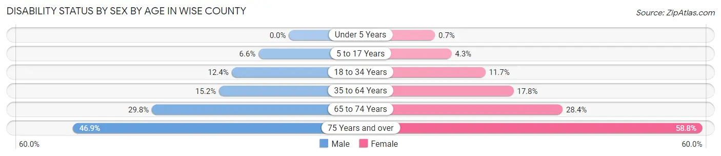 Disability Status by Sex by Age in Wise County