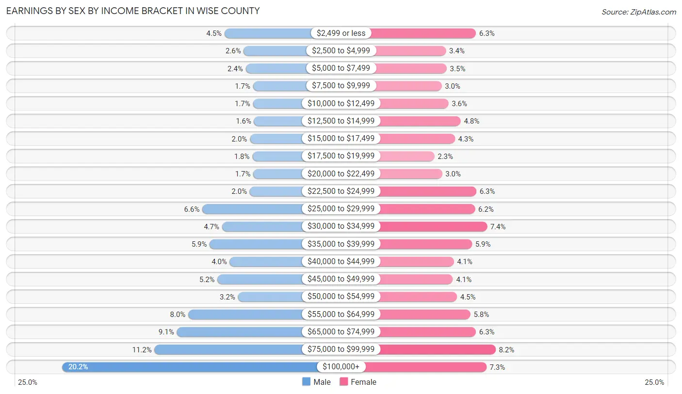 Earnings by Sex by Income Bracket in Wise County