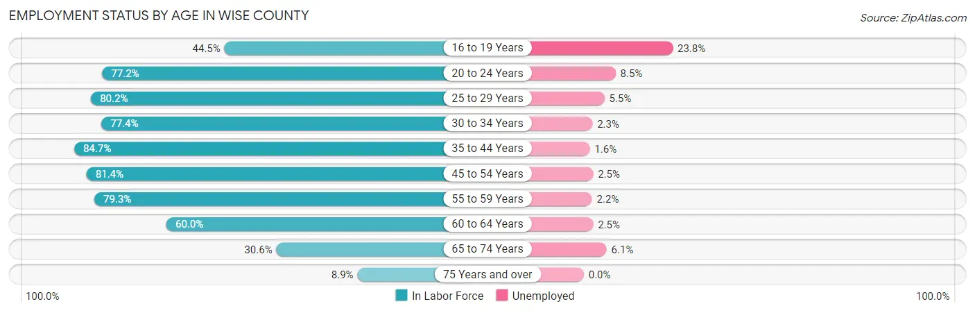 Employment Status by Age in Wise County