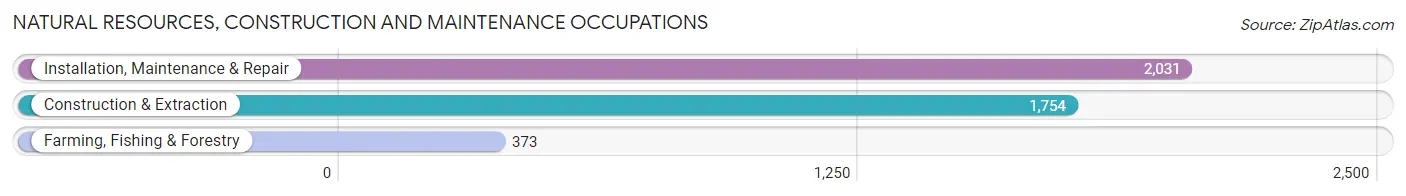 Natural Resources, Construction and Maintenance Occupations in Wise County