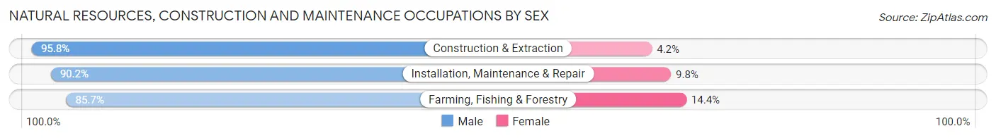 Natural Resources, Construction and Maintenance Occupations by Sex in Wood County