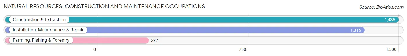 Natural Resources, Construction and Maintenance Occupations in Wood County