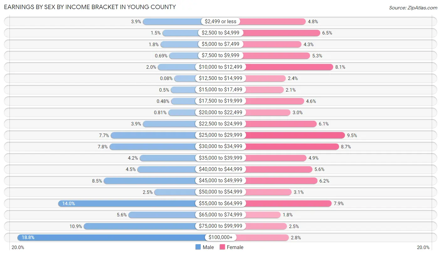 Earnings by Sex by Income Bracket in Young County