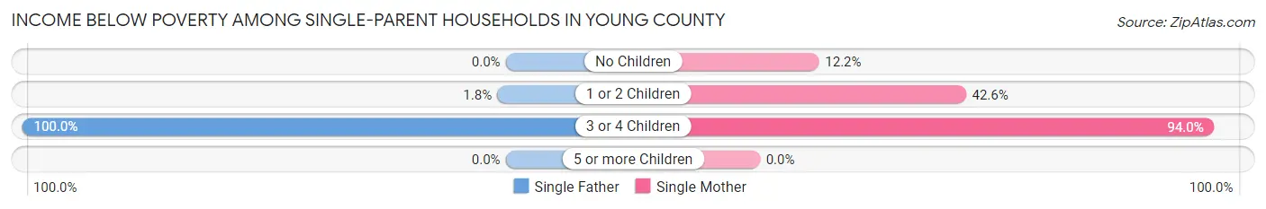 Income Below Poverty Among Single-Parent Households in Young County