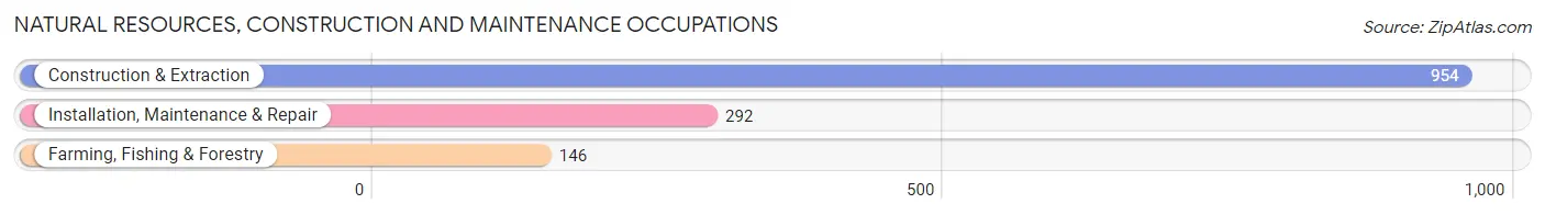 Natural Resources, Construction and Maintenance Occupations in Young County