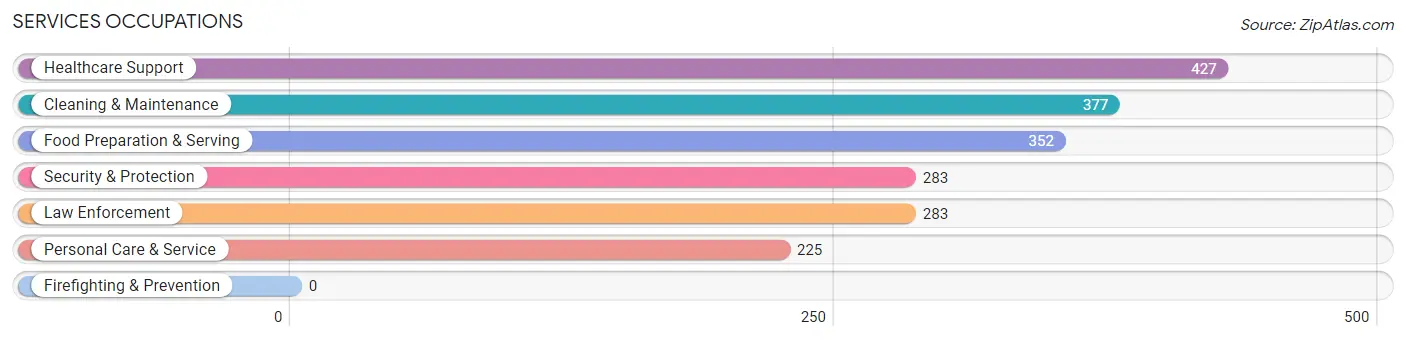 Services Occupations in Young County