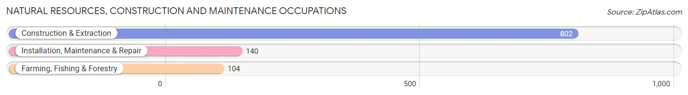 Natural Resources, Construction and Maintenance Occupations in Zapata County