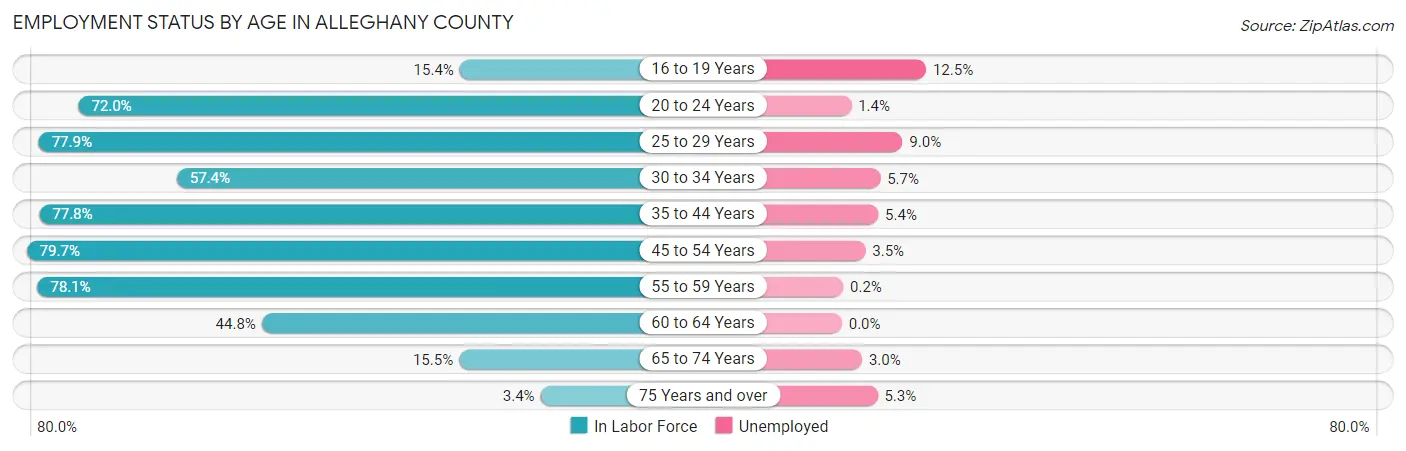Employment Status by Age in Alleghany County