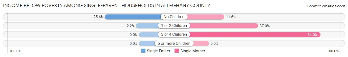 Income Below Poverty Among Single-Parent Households in Alleghany County