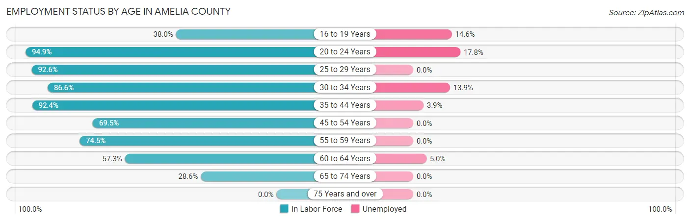 Employment Status by Age in Amelia County