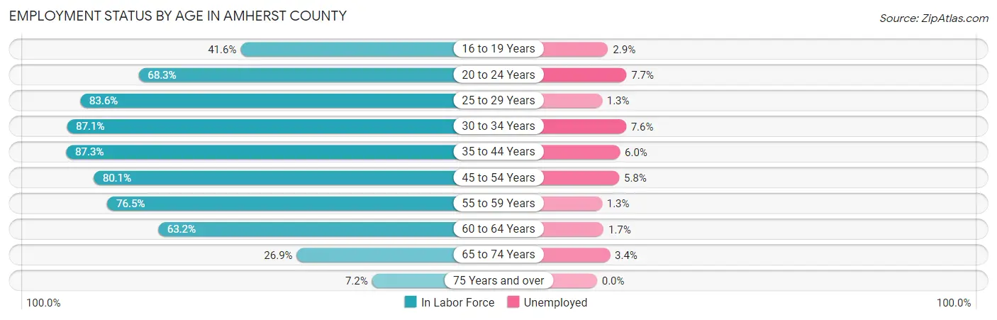 Employment Status by Age in Amherst County