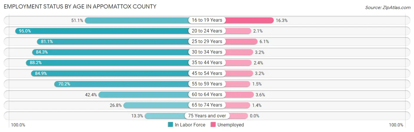 Employment Status by Age in Appomattox County