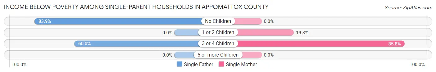 Income Below Poverty Among Single-Parent Households in Appomattox County