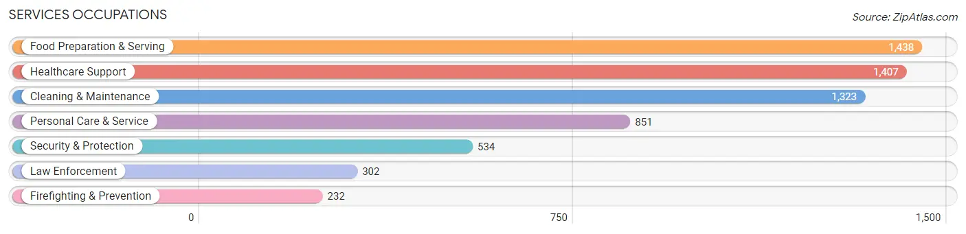 Services Occupations in Augusta County