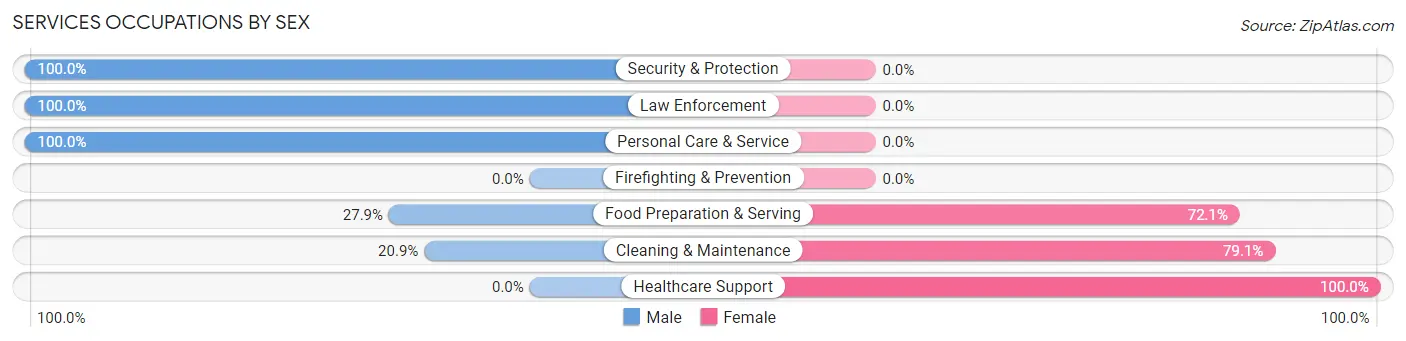 Services Occupations by Sex in Bath County