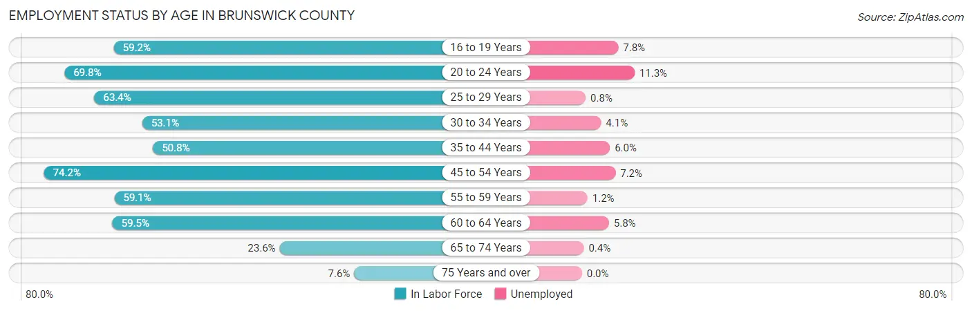 Employment Status by Age in Brunswick County
