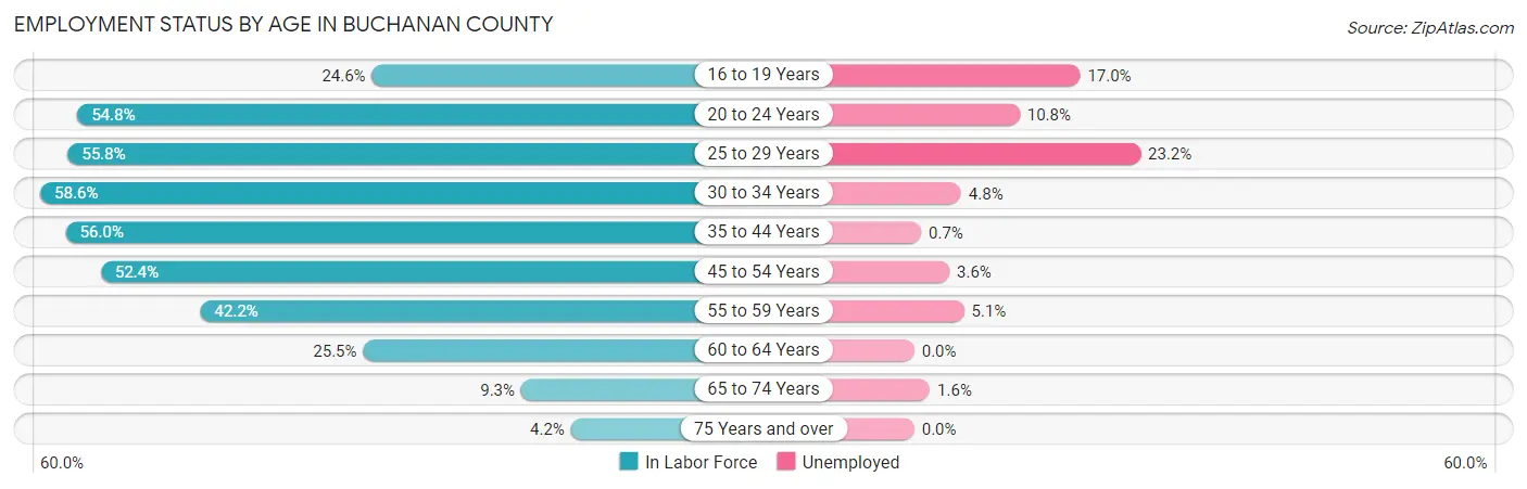 Employment Status by Age in Buchanan County
