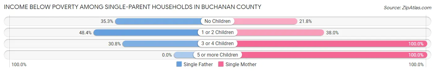 Income Below Poverty Among Single-Parent Households in Buchanan County