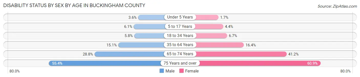Disability Status by Sex by Age in Buckingham County