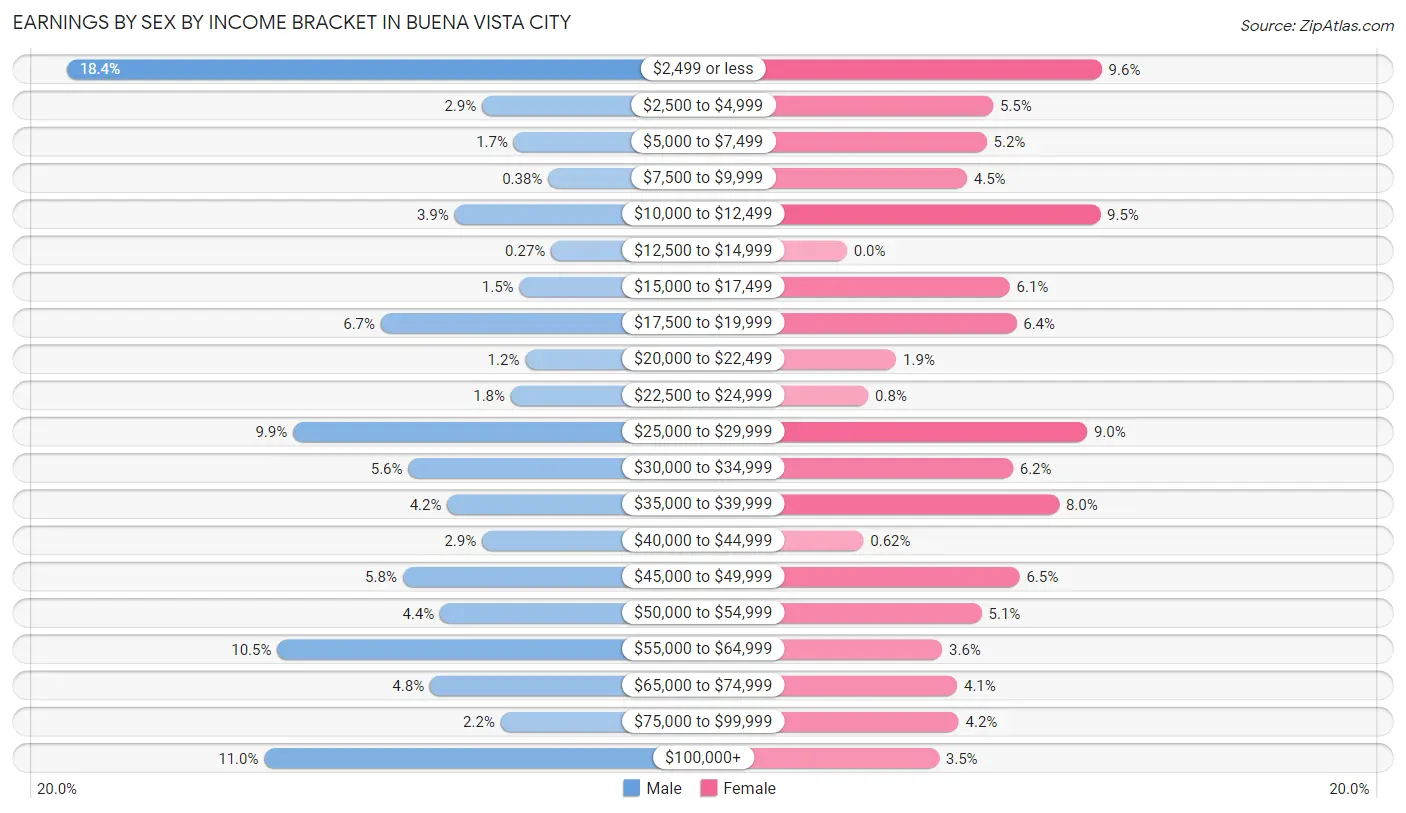 Earnings by Sex by Income Bracket in Buena Vista city
