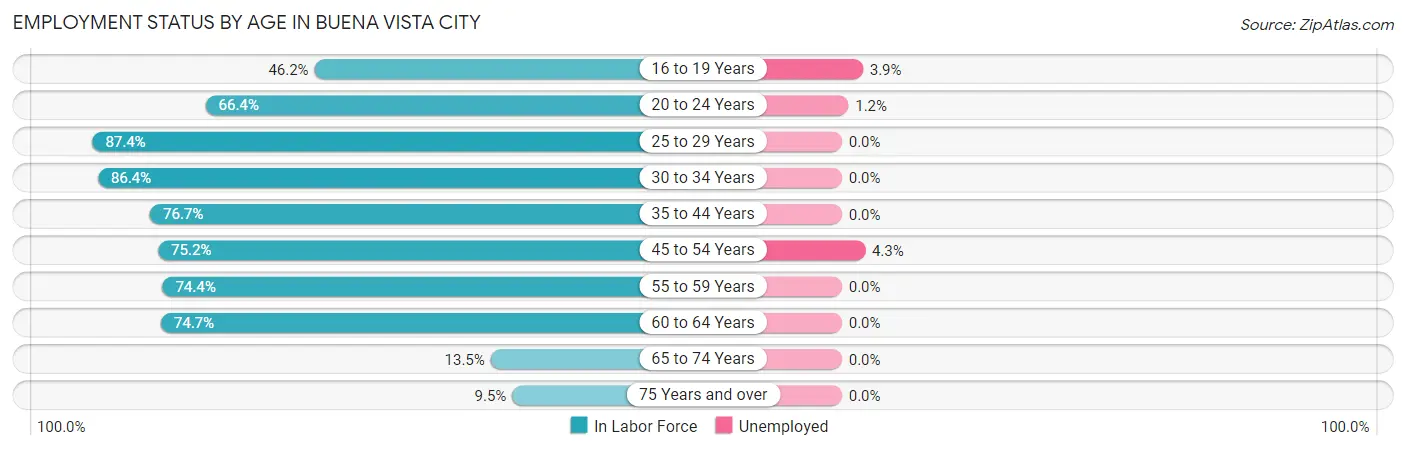 Employment Status by Age in Buena Vista city