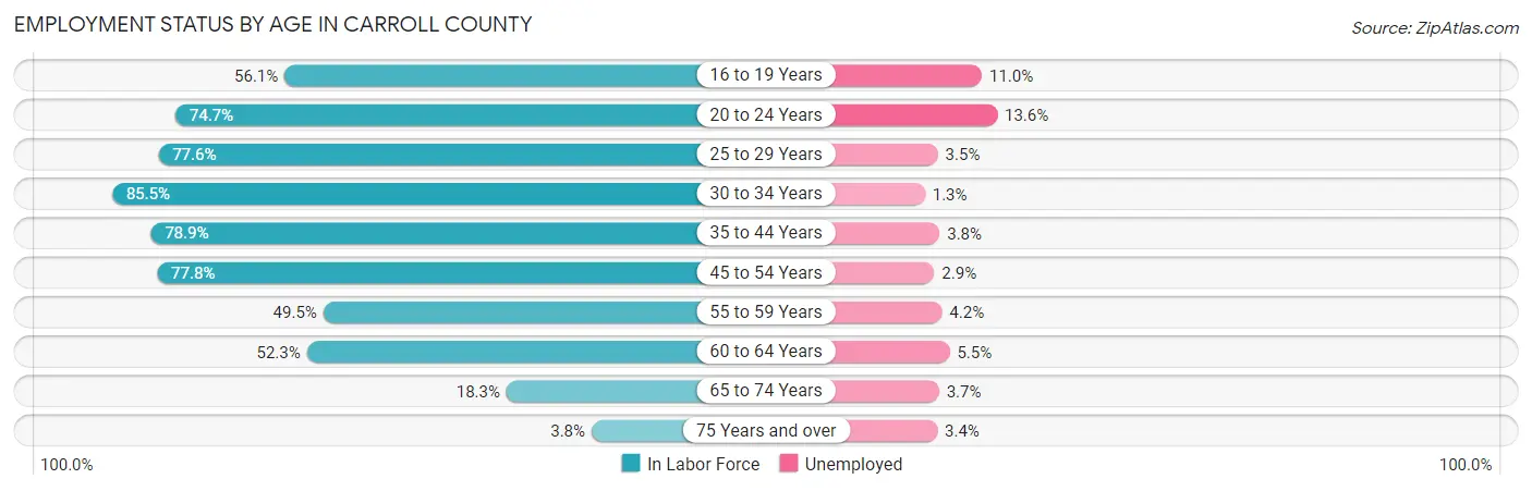 Employment Status by Age in Carroll County