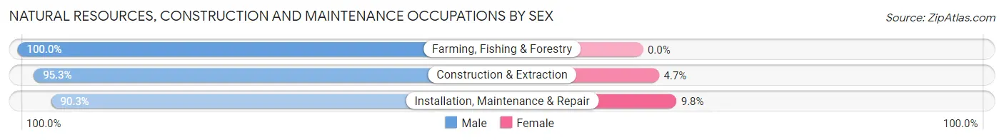 Natural Resources, Construction and Maintenance Occupations by Sex in Charles City County