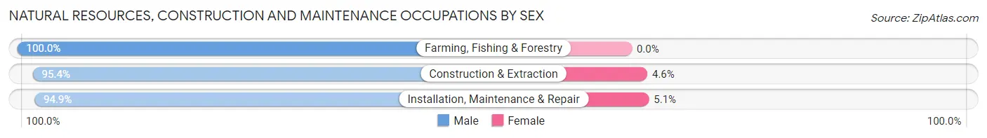 Natural Resources, Construction and Maintenance Occupations by Sex in Cumberland County