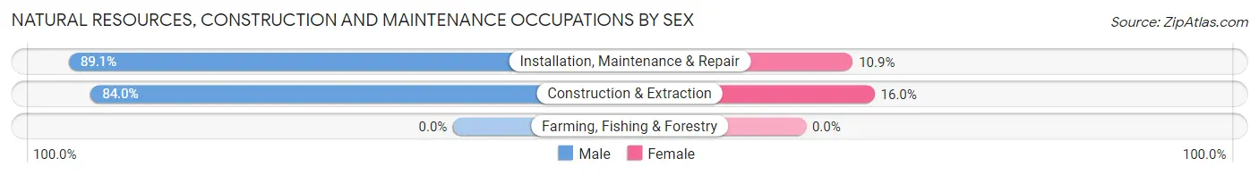 Natural Resources, Construction and Maintenance Occupations by Sex in Danville city