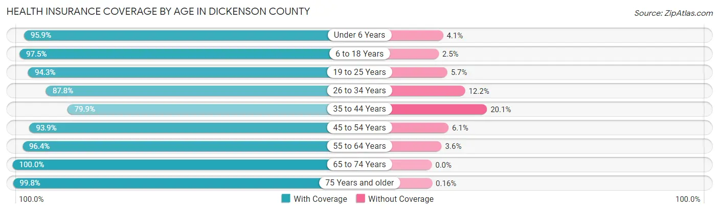 Health Insurance Coverage by Age in Dickenson County