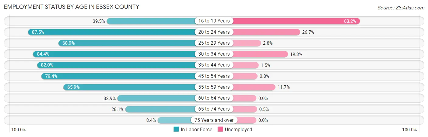 Employment Status by Age in Essex County