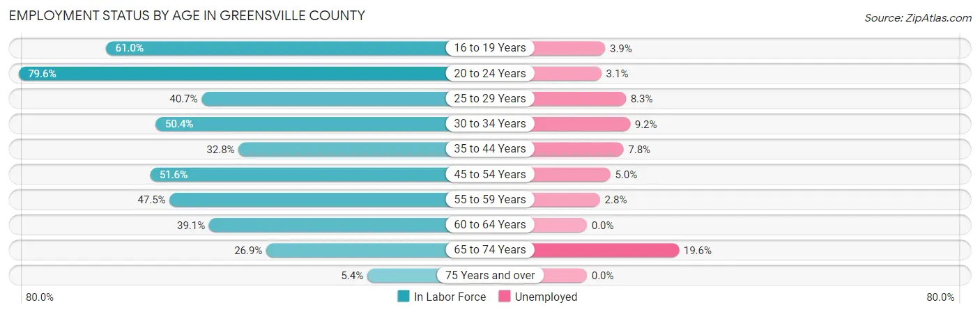 Employment Status by Age in Greensville County