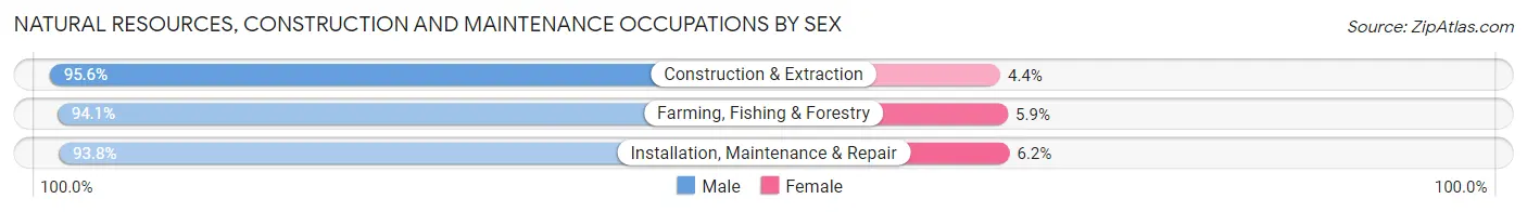Natural Resources, Construction and Maintenance Occupations by Sex in Henrico County