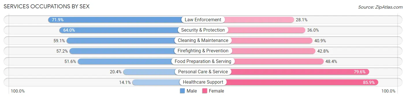 Services Occupations by Sex in Henrico County