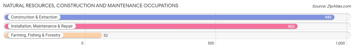 Natural Resources, Construction and Maintenance Occupations in Isle of Wight County