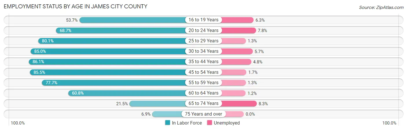Employment Status by Age in James City County