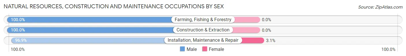 Natural Resources, Construction and Maintenance Occupations by Sex in King and Queen County