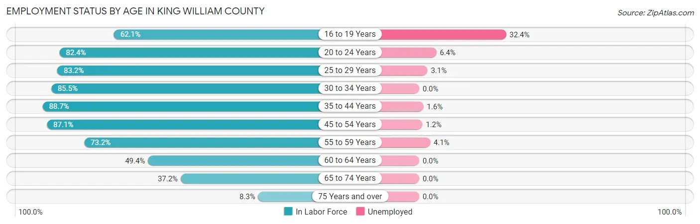 Employment Status by Age in King William County