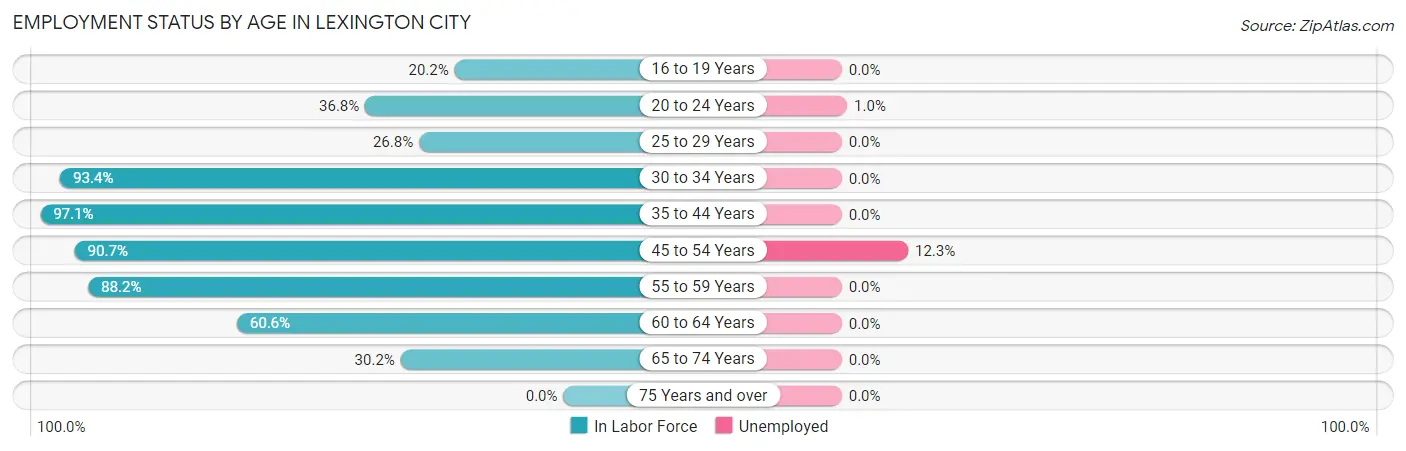 Employment Status by Age in Lexington city