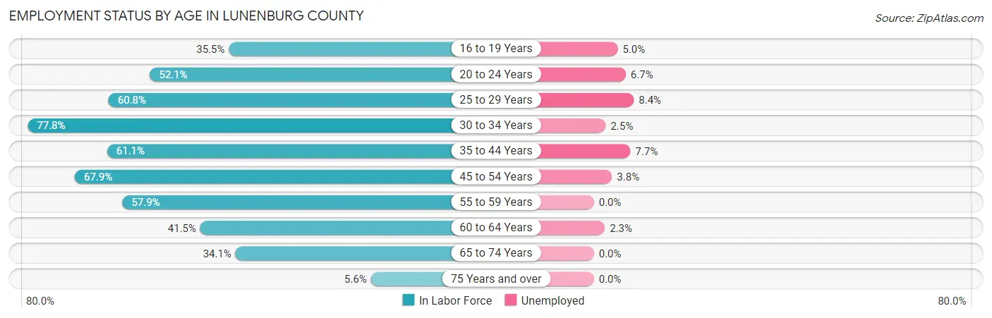 Employment Status by Age in Lunenburg County