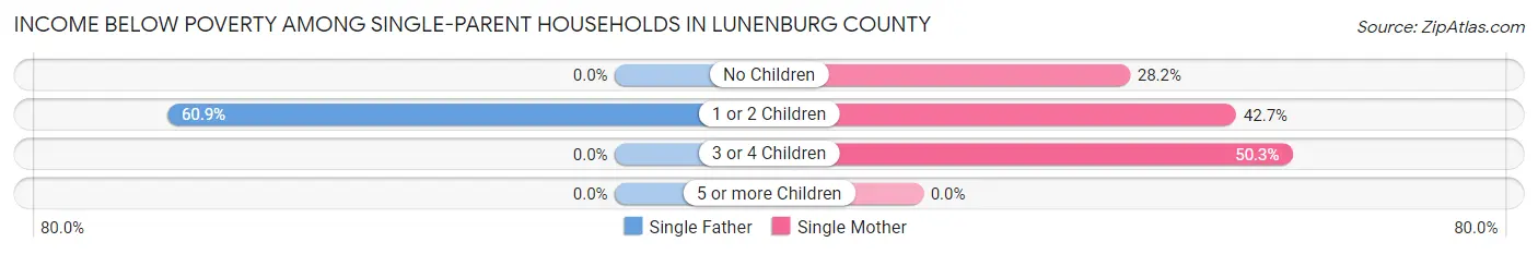Income Below Poverty Among Single-Parent Households in Lunenburg County