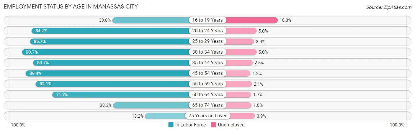 Employment Status by Age in Manassas City
