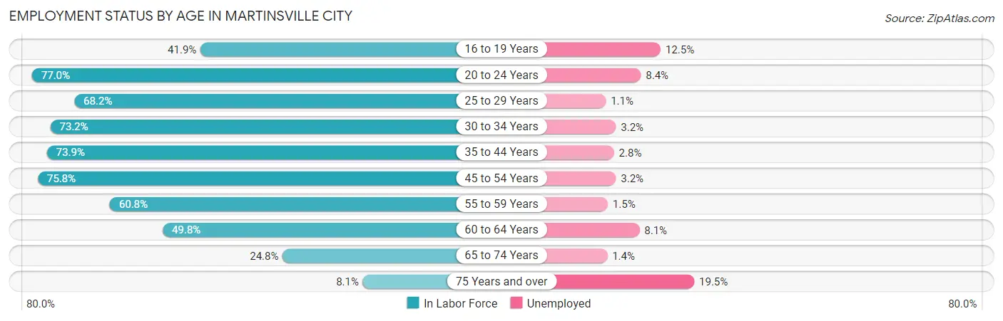 Employment Status by Age in Martinsville City
