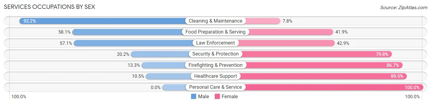 Services Occupations by Sex in Martinsville City