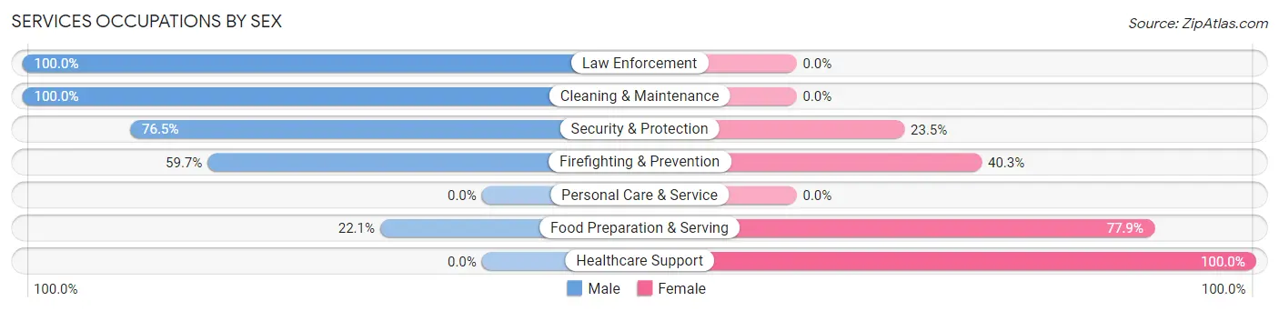 Services Occupations by Sex in Mathews County