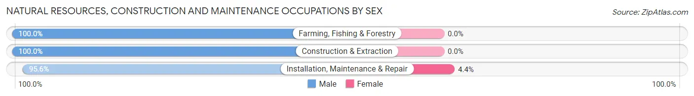 Natural Resources, Construction and Maintenance Occupations by Sex in Mecklenburg County