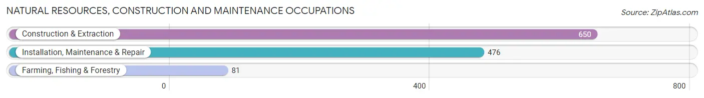Natural Resources, Construction and Maintenance Occupations in Mecklenburg County